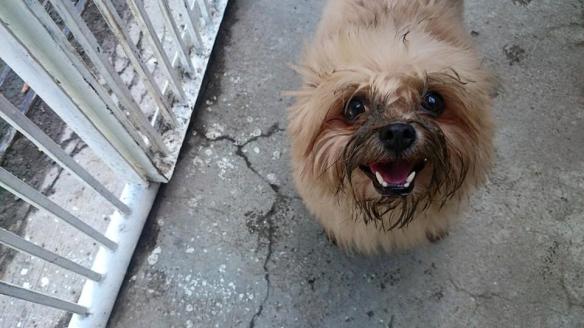 11078061_808856992542350_5010292766056038989_n