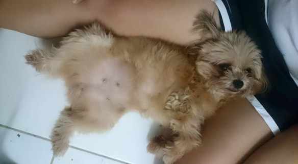 11800286_870553319706050_7301461047728310036_n