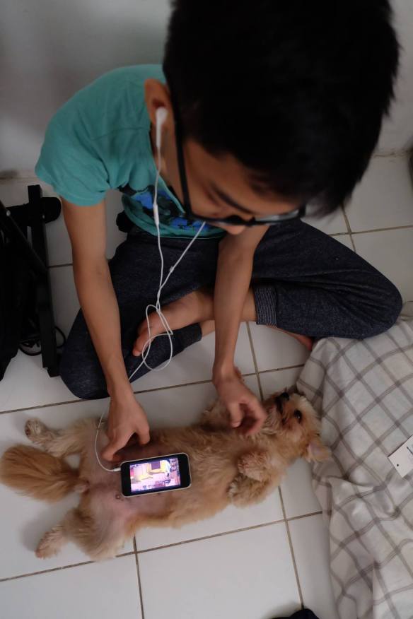 13442665_1062596133835100_1145029002060782501_o