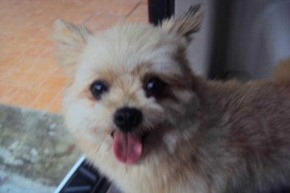 313613_170593426368713_14587767_n