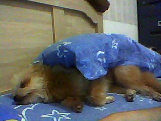 318590_170099346418121_1555785574_n