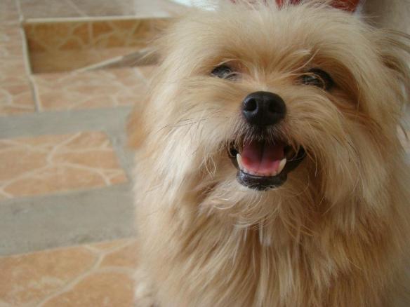 403234_224461117648610_1065563295_n