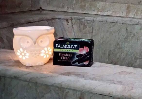 14137805_10209994379246474_334942224_n